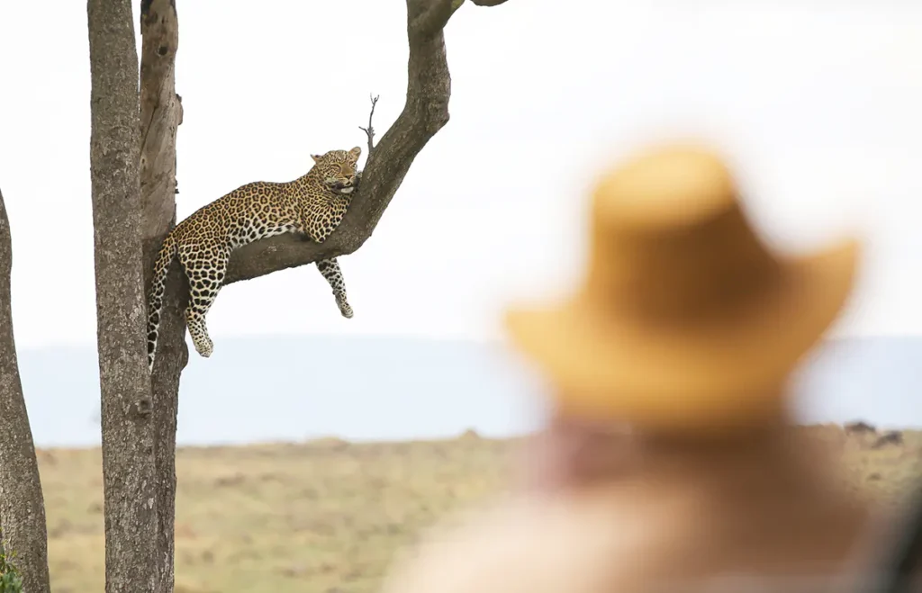 Tanzania wildlife