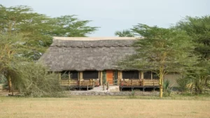 tented lodge in safari