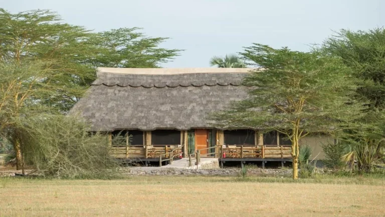 tented lodge in safari