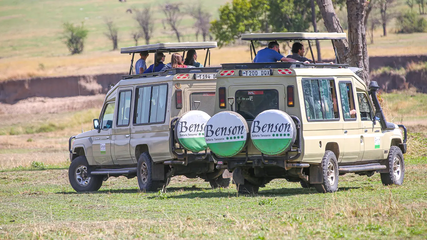7-day luxury safari in Tanzania