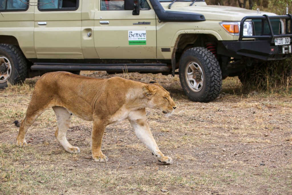 Luxury Tanzania Safaris