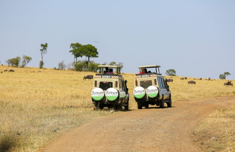 How to Plan Tanzania Safari