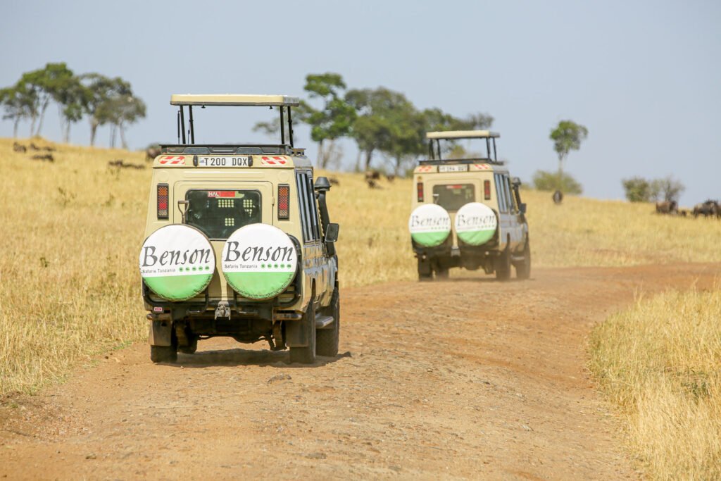 Safaris