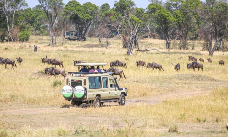 Why Tanzania is best for Travellers