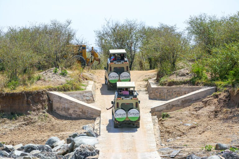 Why Tanzania is best for Travellers