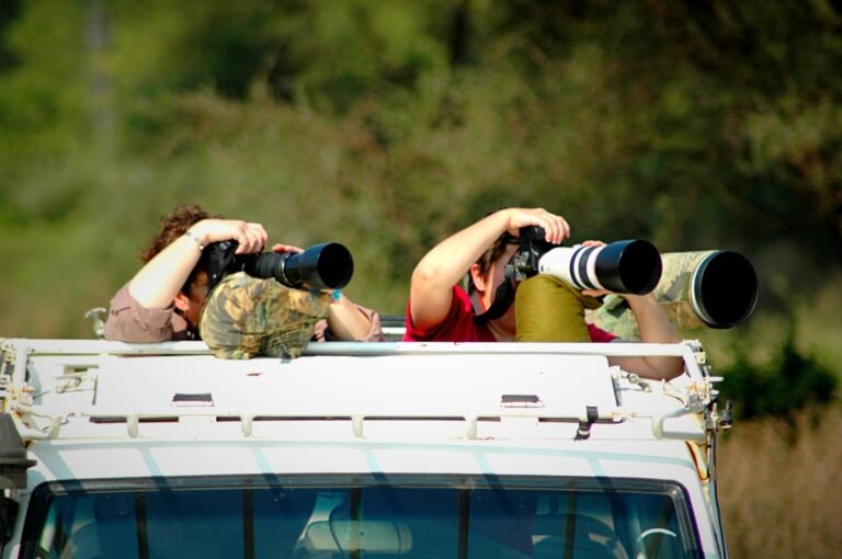 Benson Safaris | On a photographic safari...
