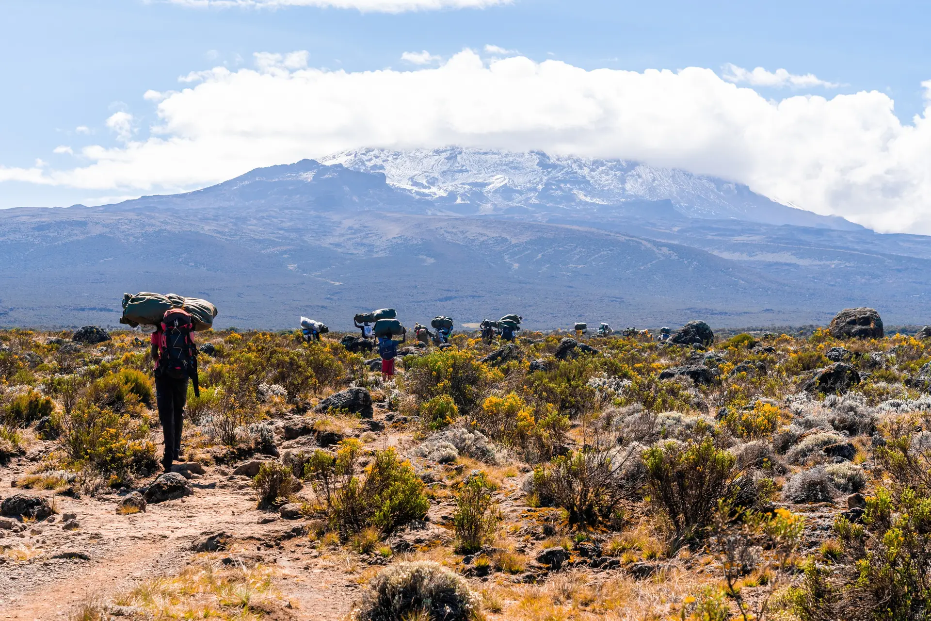 Kilimanjaro Trekking