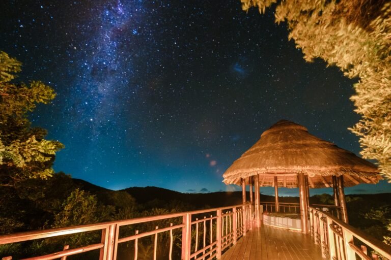 Benson Safaris | luxury safari