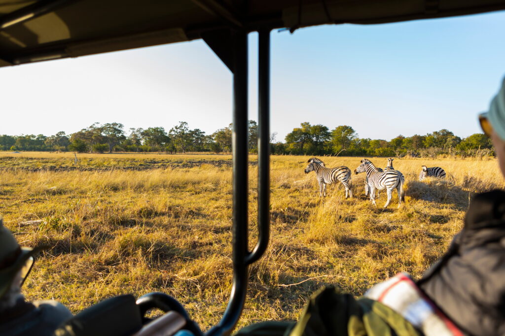 Benson Safaris | Passengers in a safari jeep watching a small group of zebra grazing