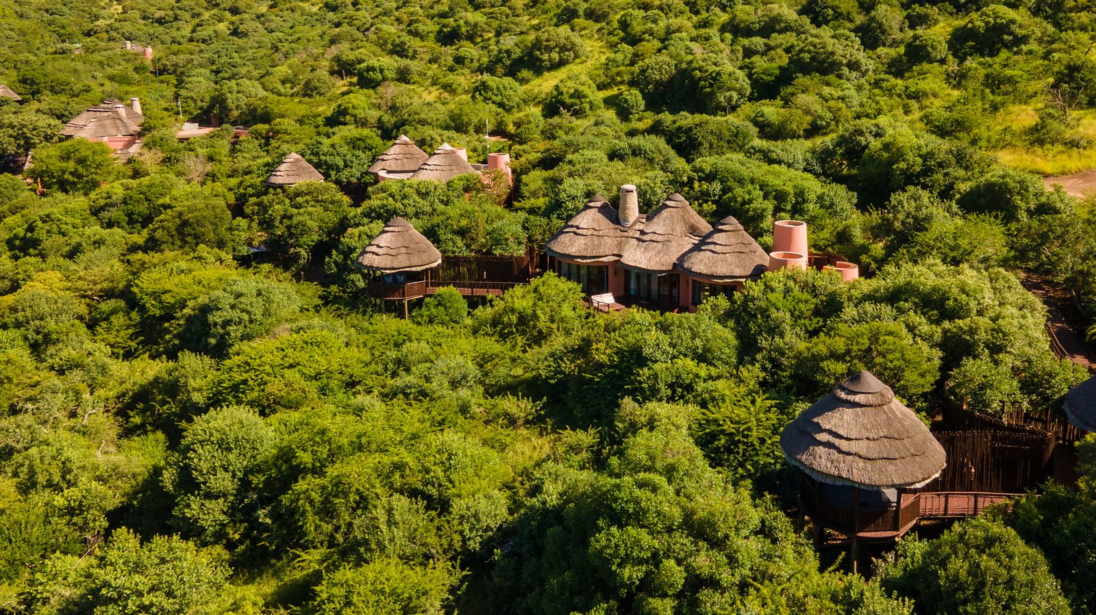 Benson Safaris | Luxury safari lodge in the bush of a Game reserve