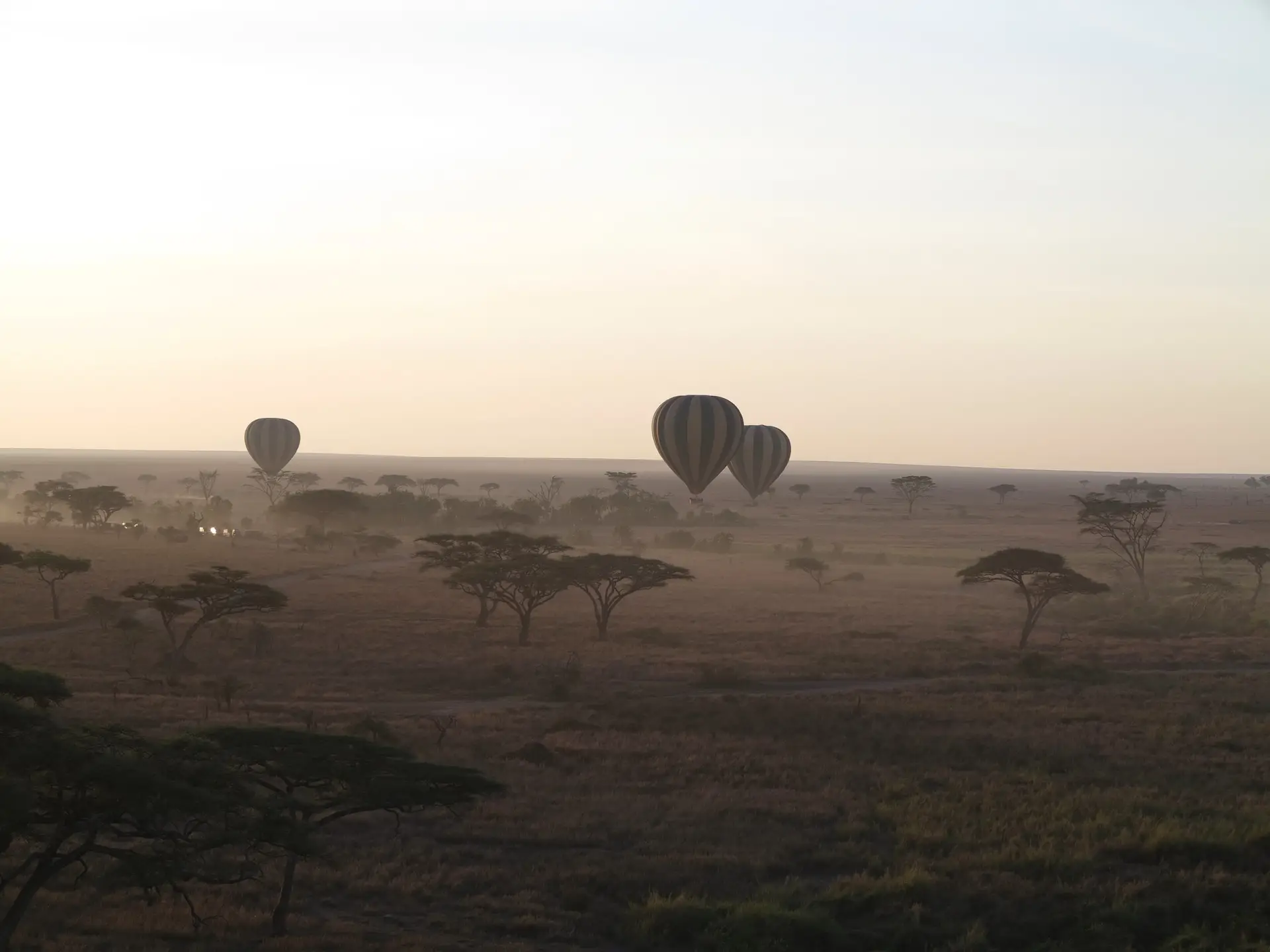 Benson Safaris | sunrise in the serengeti national park with hot air balloons on horizon