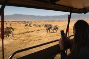 Benson Safaris | Tourist taking pictures of zebras in ngorongoro crater, tanzania, africa