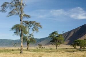 vView of the view Ngorongoro Crater, tanzania