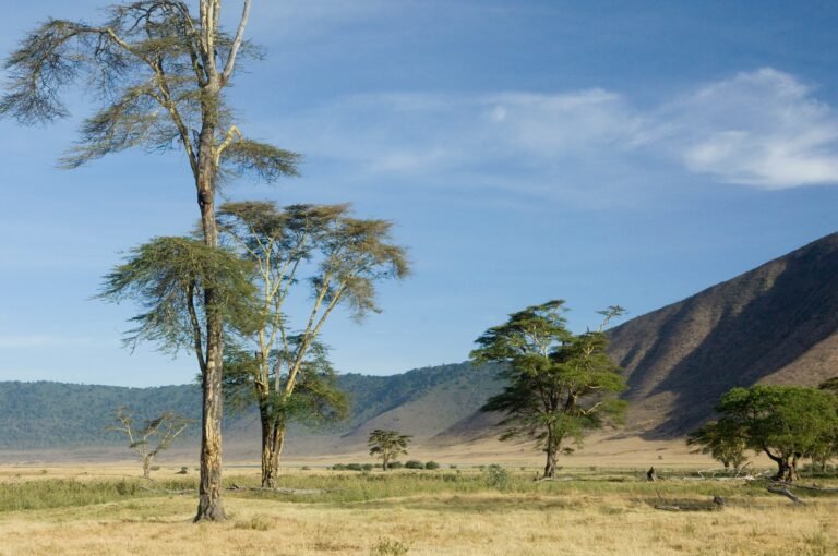 vView of the view Ngorongoro Crater, tanzania