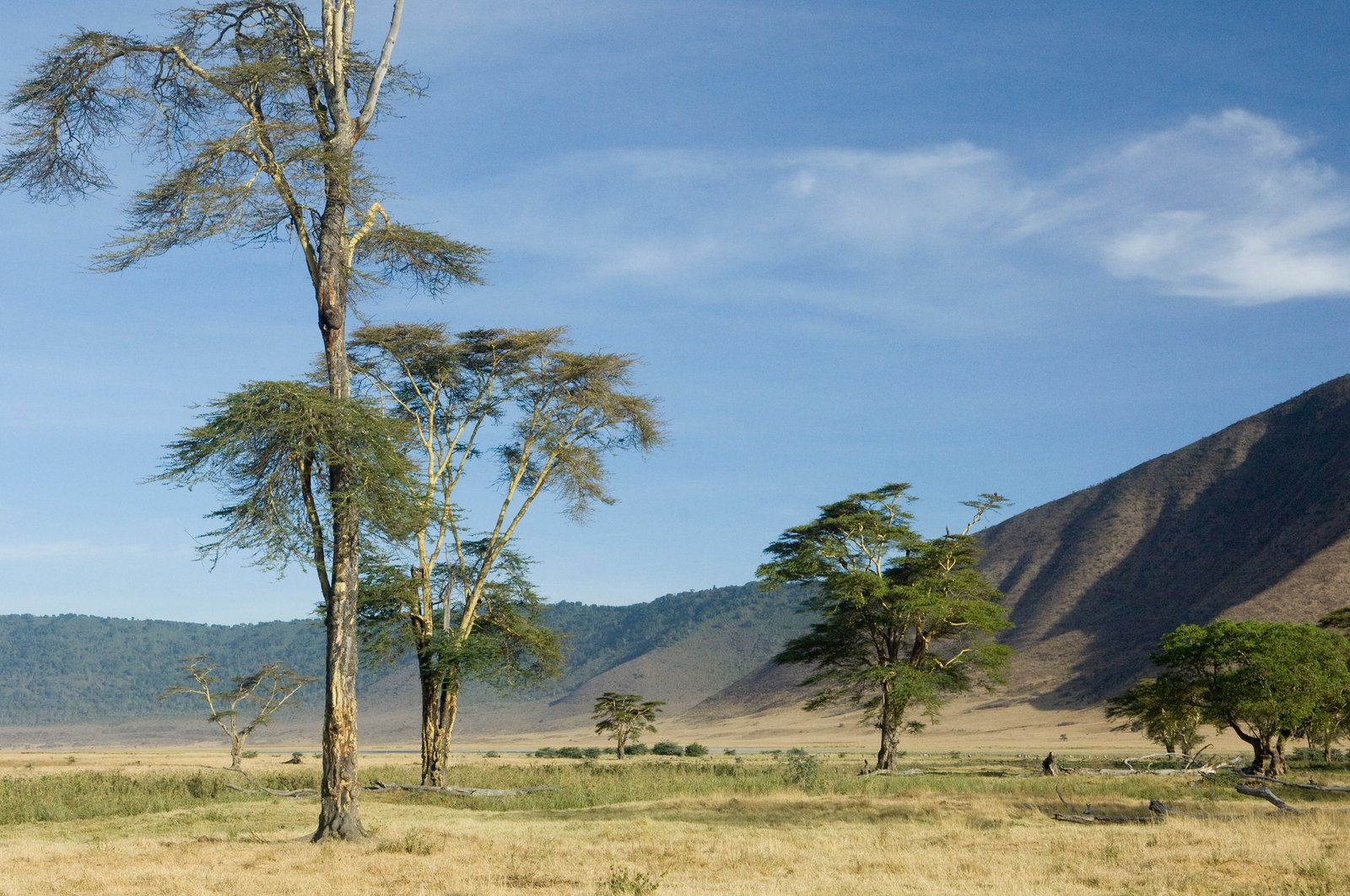 vView of the view Ngorongoro Crater, tanzania