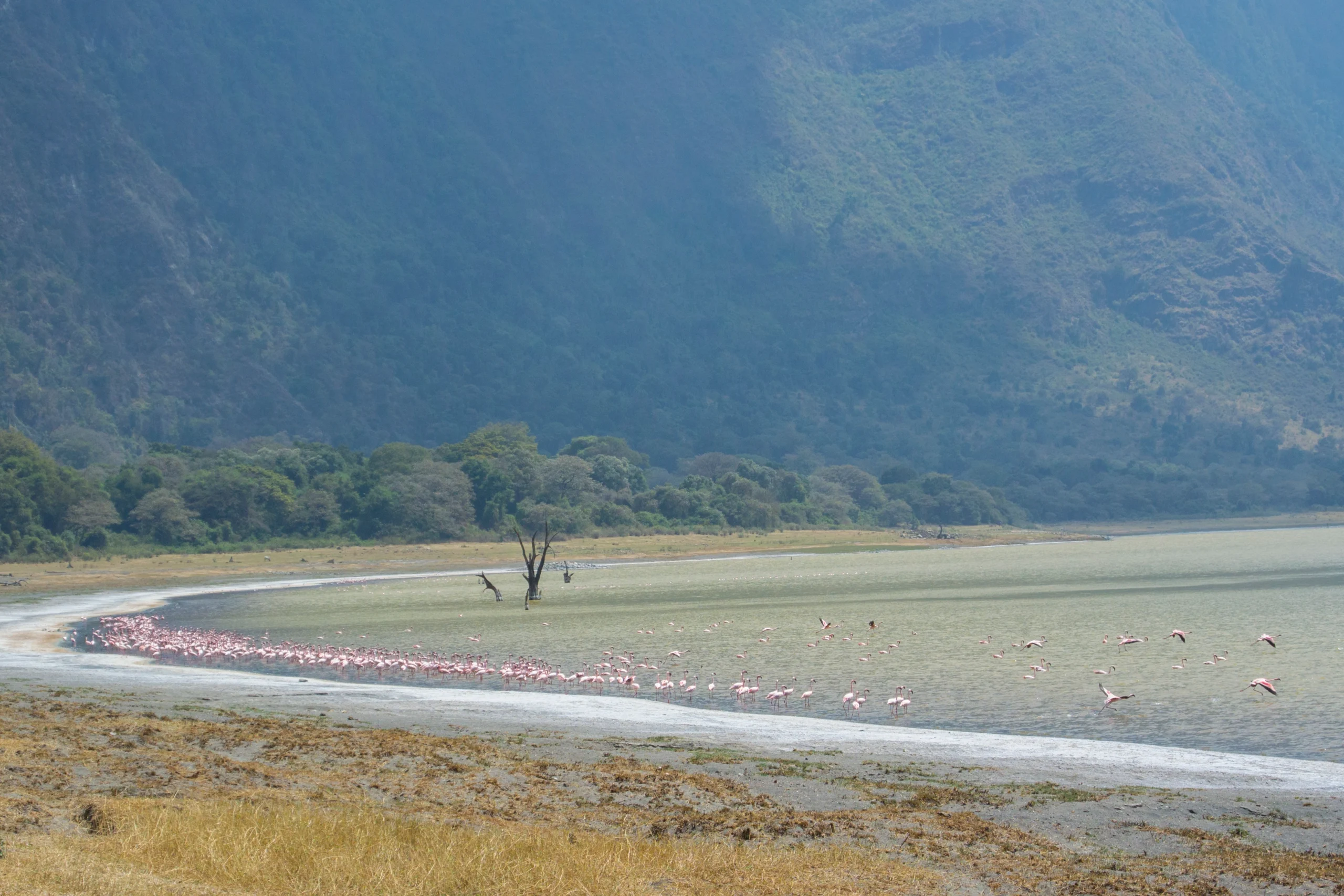 Tanzania Safari | Empakai Crater - Ngorongoro