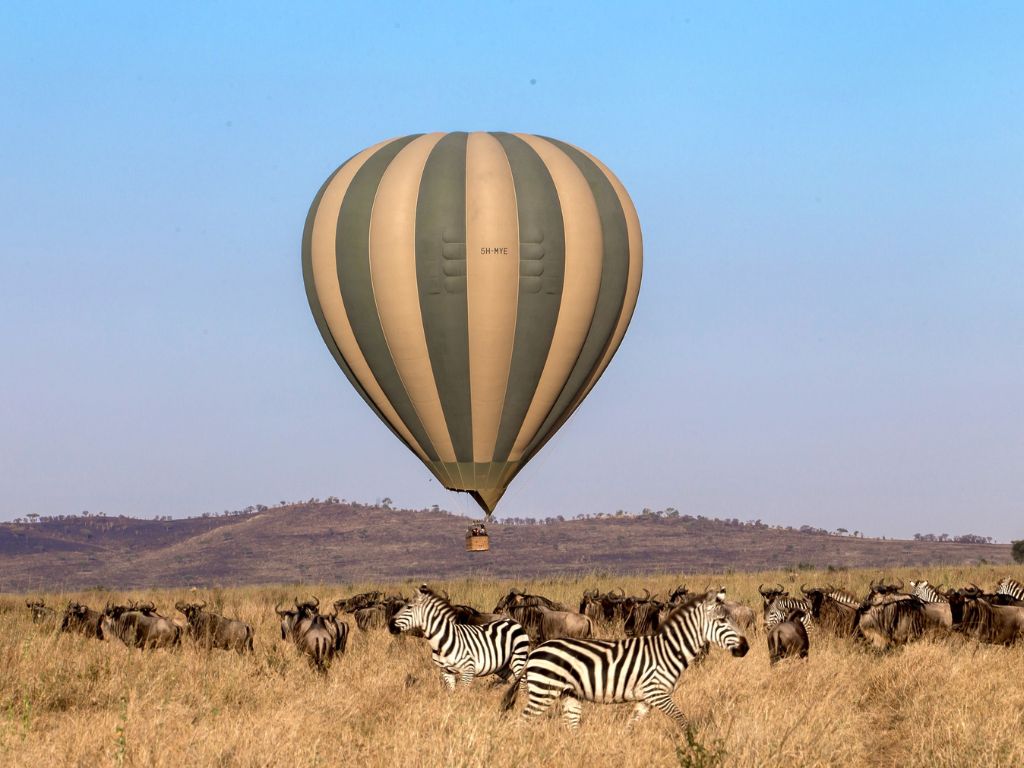 Balloon Safari