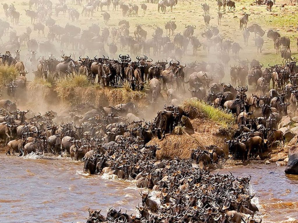 Great Migration