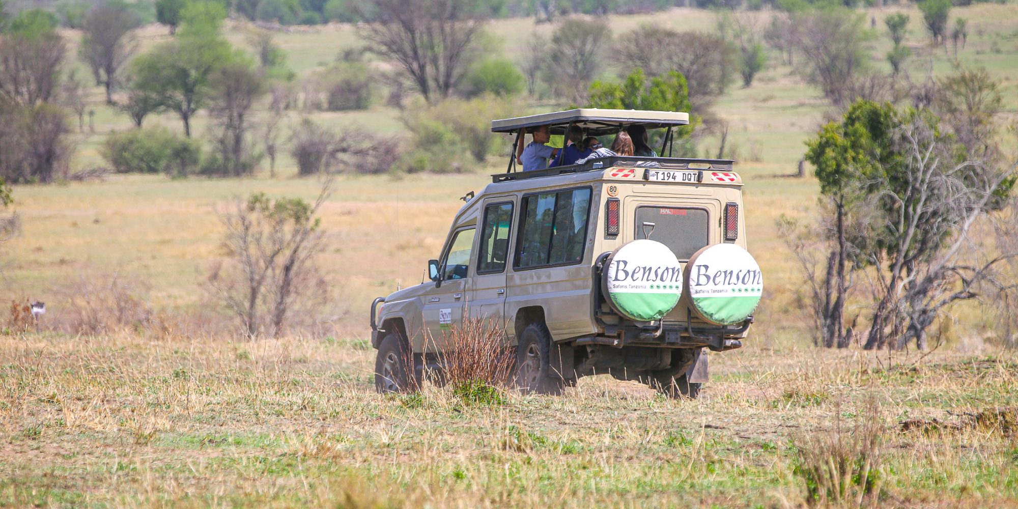 Get up close with Africa’s giants on a guided safari in Tarangire