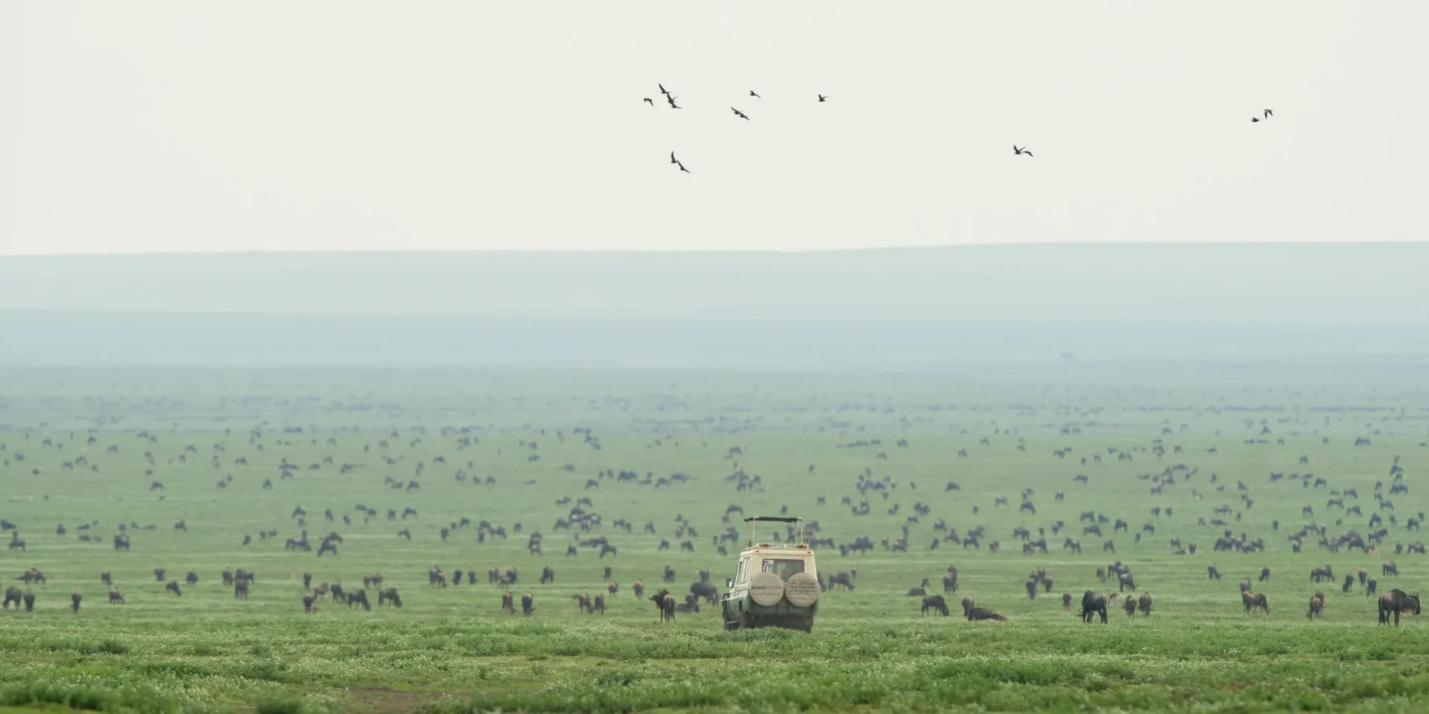 Serengeti National Park During the Wet Season