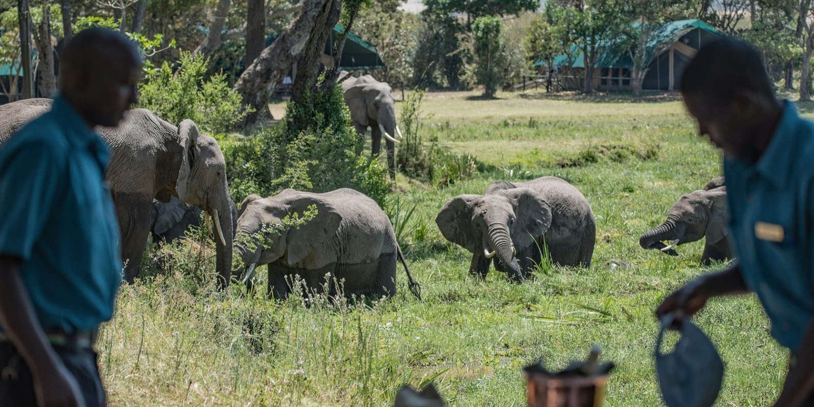 Benson Safaris | safari lunch