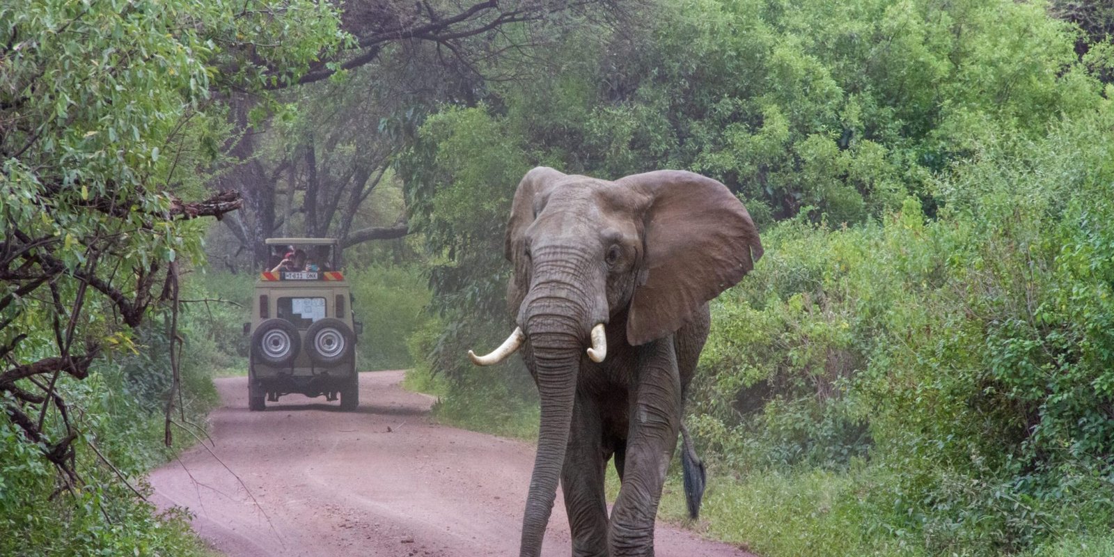 Tanzania Safaris Tours