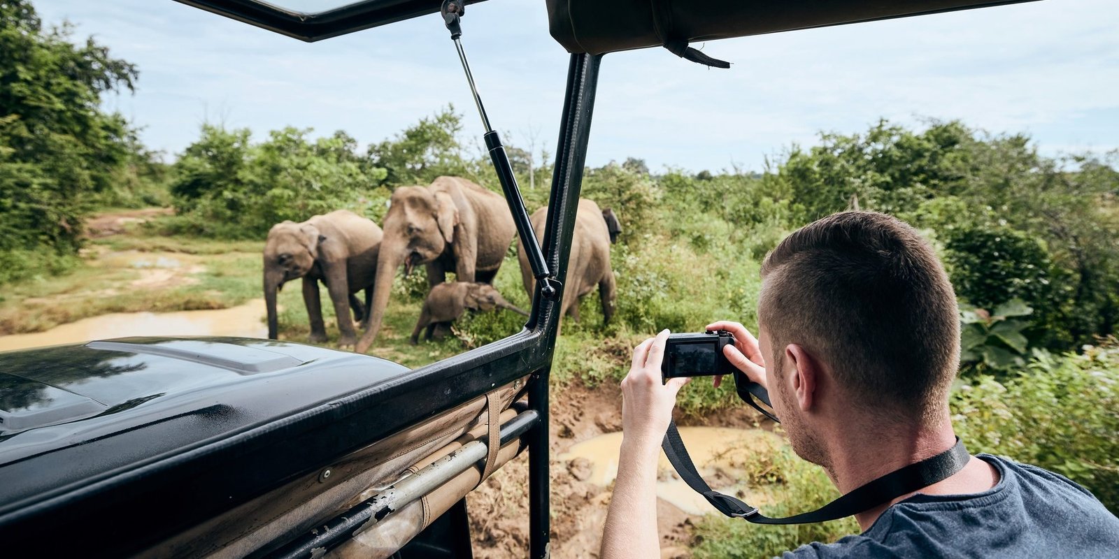 Benson Safaris |